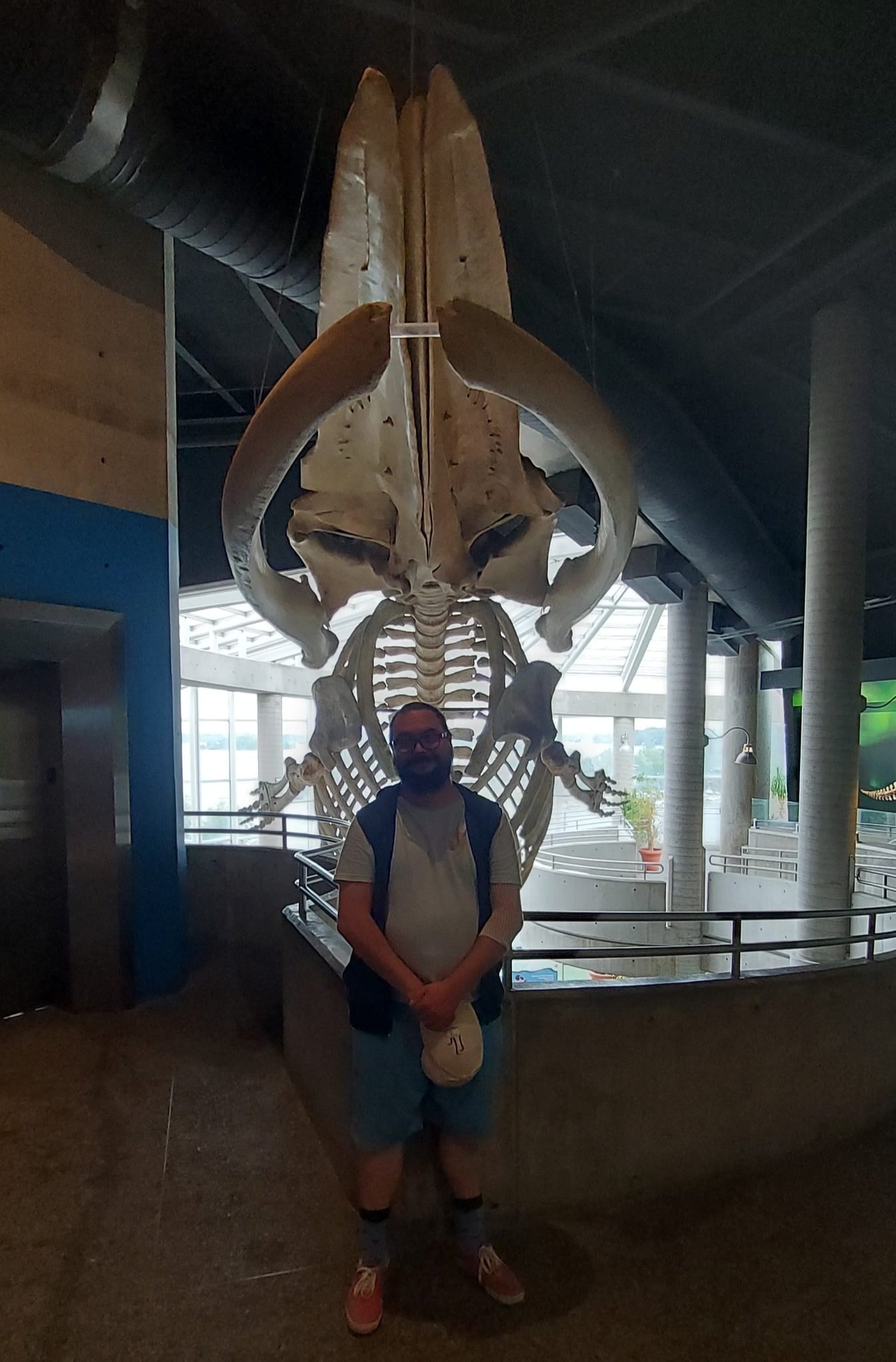 A man with a ball cap and bushy facial hair is standing in front of a fin whale skeleton, suspended fron the ceiling, it stretches down through several floors of the building